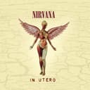 Release Cover Nirvana - In Utero