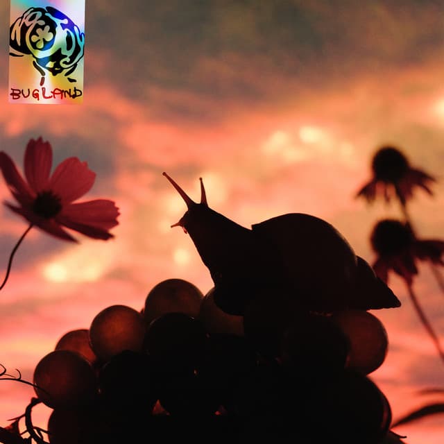 Release Cover No Joy - Bugland