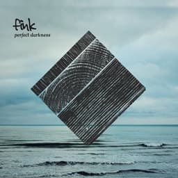 Release Cover Fink - Perfect Darkness