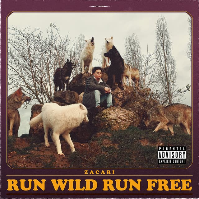 Release Cover Zacari - Run Wild Run Free