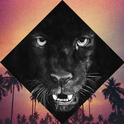 Release Cover Moon Boots - Sugar