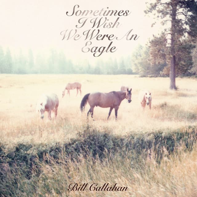 Release Cover Bill Callahan - Sometimes I Wish We Were An Eagle