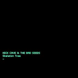 Release Cover Nick Cave & The Bad Seeds - Skeleton Tree