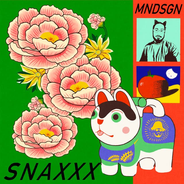 Release Cover Mndsgn - Snaxxx