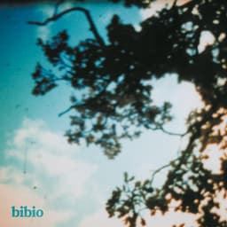 Release Cover Bibio - Fi