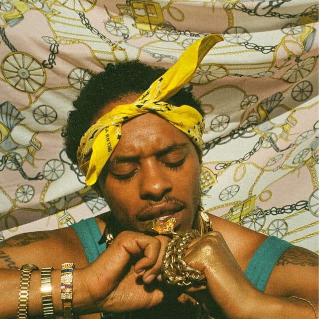 Release Cover Pink Siifu - ensley