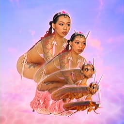 Release Cover SAILORR - FROM FLORIDA'S FINEST