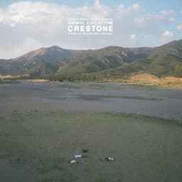 Release Cover Animal Collective - Crestone (Original Score)