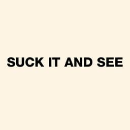 Release Cover Arctic Monkeys - Suck It and See