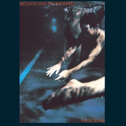 Release Cover Siouxsie and the Banshees - The Scream