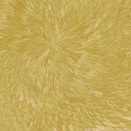 Release Cover PJEV, Kit Downes, Hayden Chisholm - Medna Roso