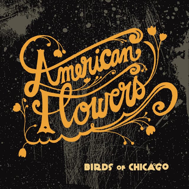 Release Cover Birds of Chicago, Allison Russell, JT Nero - American Flowers