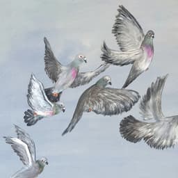 Release Cover Tom Misch - Six Songs