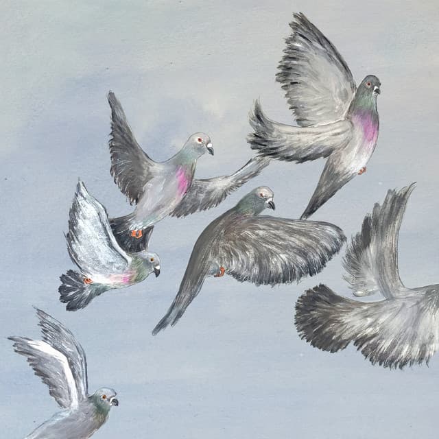 Release Cover Tom Misch - Six Songs