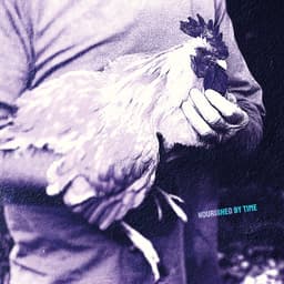 Release Cover Nourished by Time - Catching Chickens EP