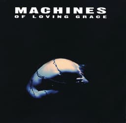 Release Cover Machines Of Loving Grace - Concentration