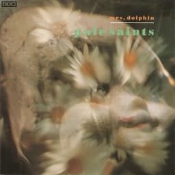 Release Cover Pale Saints - Mrs. Dolphin