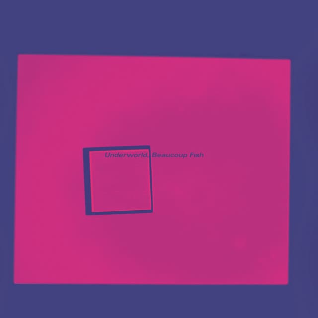 Release Cover Underworld - Beaucoup Fish (Remastered / Super Deluxe)