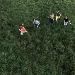 Release Cover Parcels - LOVED