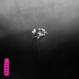 Release Cover Little Simz - Lotus