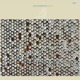 Release Cover Oren Ambarchi - Hubris