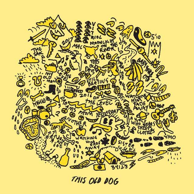 Release Cover Mac DeMarco - This Old Dog