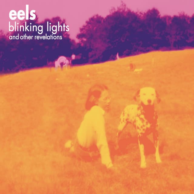 Release Cover Eels - Blinking Lights and Other Revelations