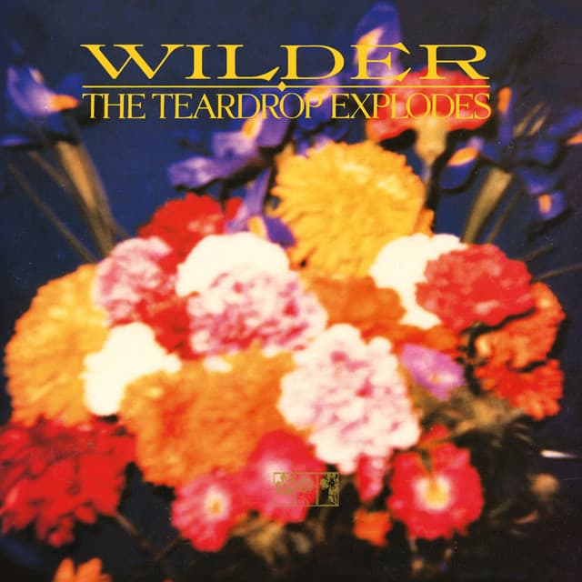 Release Cover The Teardrop Explodes - Wilder (Remastered Expanded Edition)