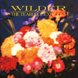 Release Cover The Teardrop Explodes - Wilder (Remastered Expanded Edition)