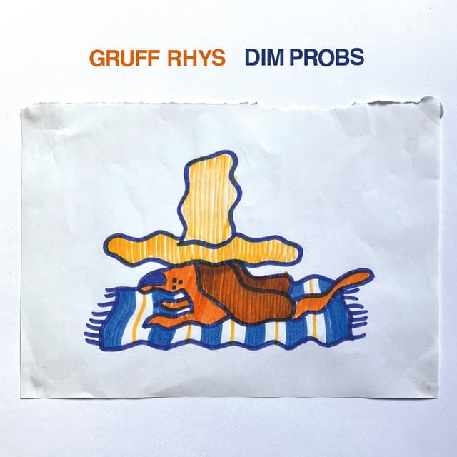 Release Cover Gruff Rhys - Dim Probs