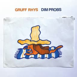 Release Cover Gruff Rhys - Dim Probs