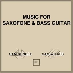 Release Cover Sam Gendel, Sam Wilkes - Music for Saxofone & Bass Guitar