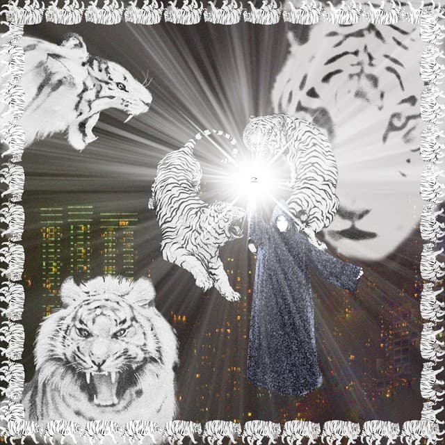 Release Cover 2hollis - White Tiger