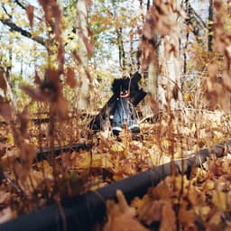 Release Cover billy woods - GOLLIWOG