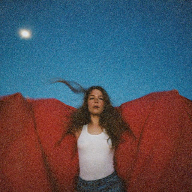 Release Cover Maggie Rogers - Heard It In A Past Life