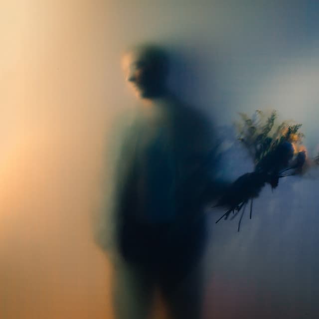 Release Cover Ben Böhmer - Bloom
