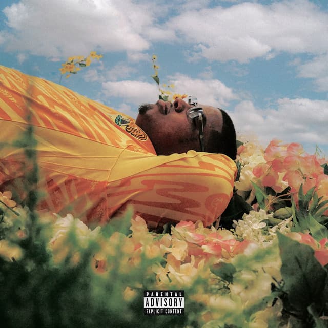 Release Cover Smiley - Don't Box Me In