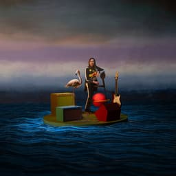 Release Cover Kim Deal - Nobody Loves You More