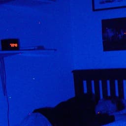 Release Cover sign crushes motorist - Hurting