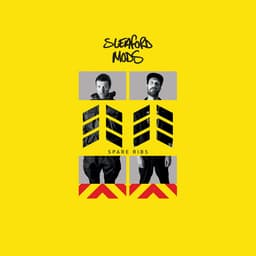 Release Cover Sleaford Mods - Spare Ribs