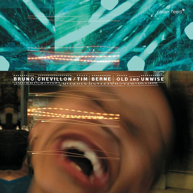 Release Cover Bruno Chevillon, Tim Berne - Old and Unwise
