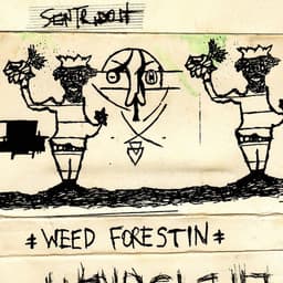 Release Cover Sentridoh - Weed Forestin'