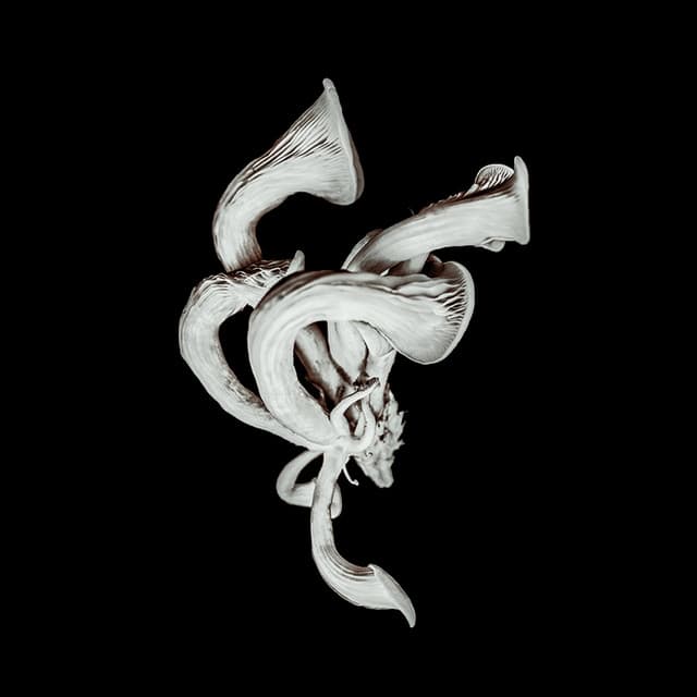 Release Cover Pixies - Beneath the Eyrie (Deluxe)