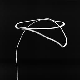 Release Cover VÉRITÉ, The Park - LASSO