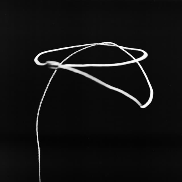 Release Cover VÉRITÉ, The Park - LASSO