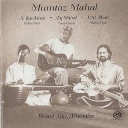 Release Cover Taj Mahal, N. Ravikiran, Vishwa Mohan Bhatt - Mumtaz Mahal