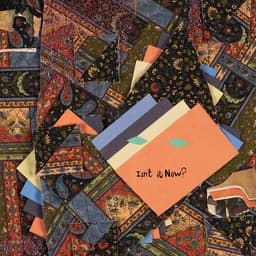 Release Cover Animal Collective - Isn’t It Now?