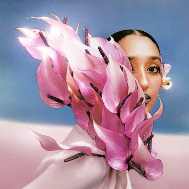 Release Cover Raveena - Where the Butterflies Go in the Rain