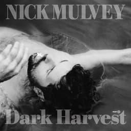Release Cover Nick Mulvey - River To The Real