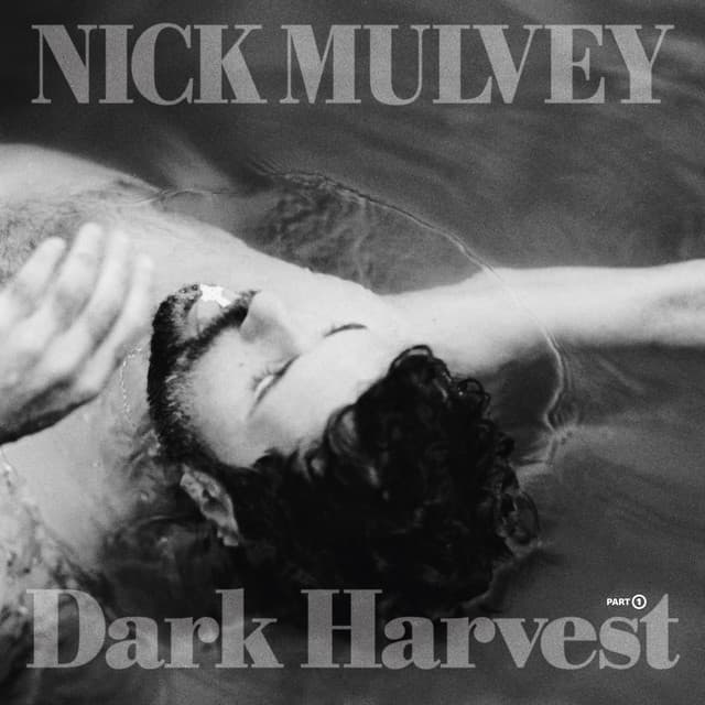 Release Cover Nick Mulvey - River To The Real
